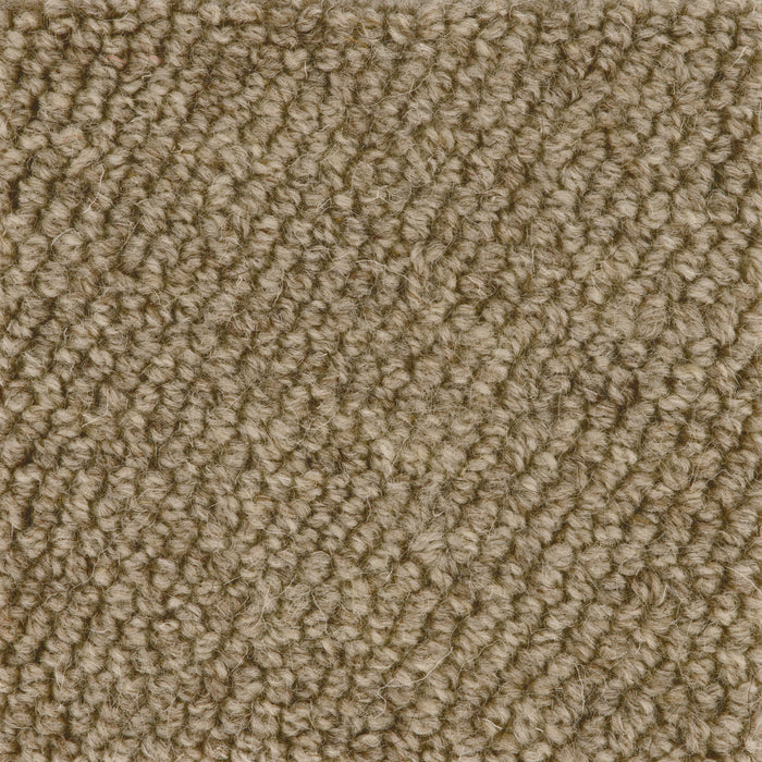 Boucle Loop Carpet Sample Biscuit
