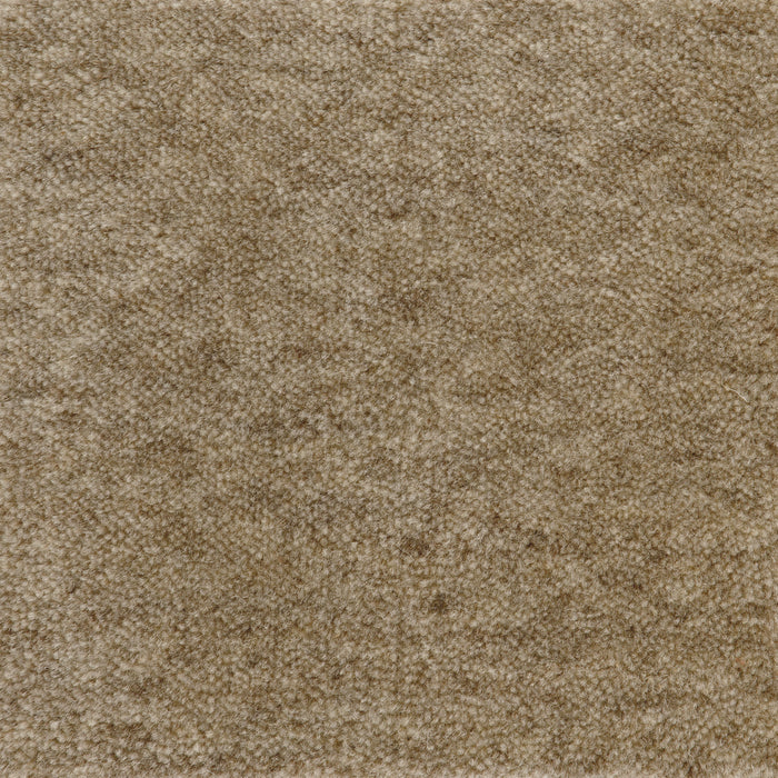 Cut Pile Wool Carpet Sample Biscuit