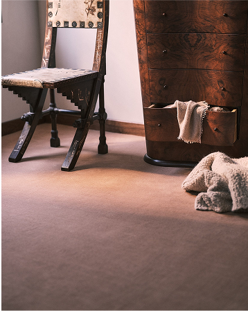 explore carpet