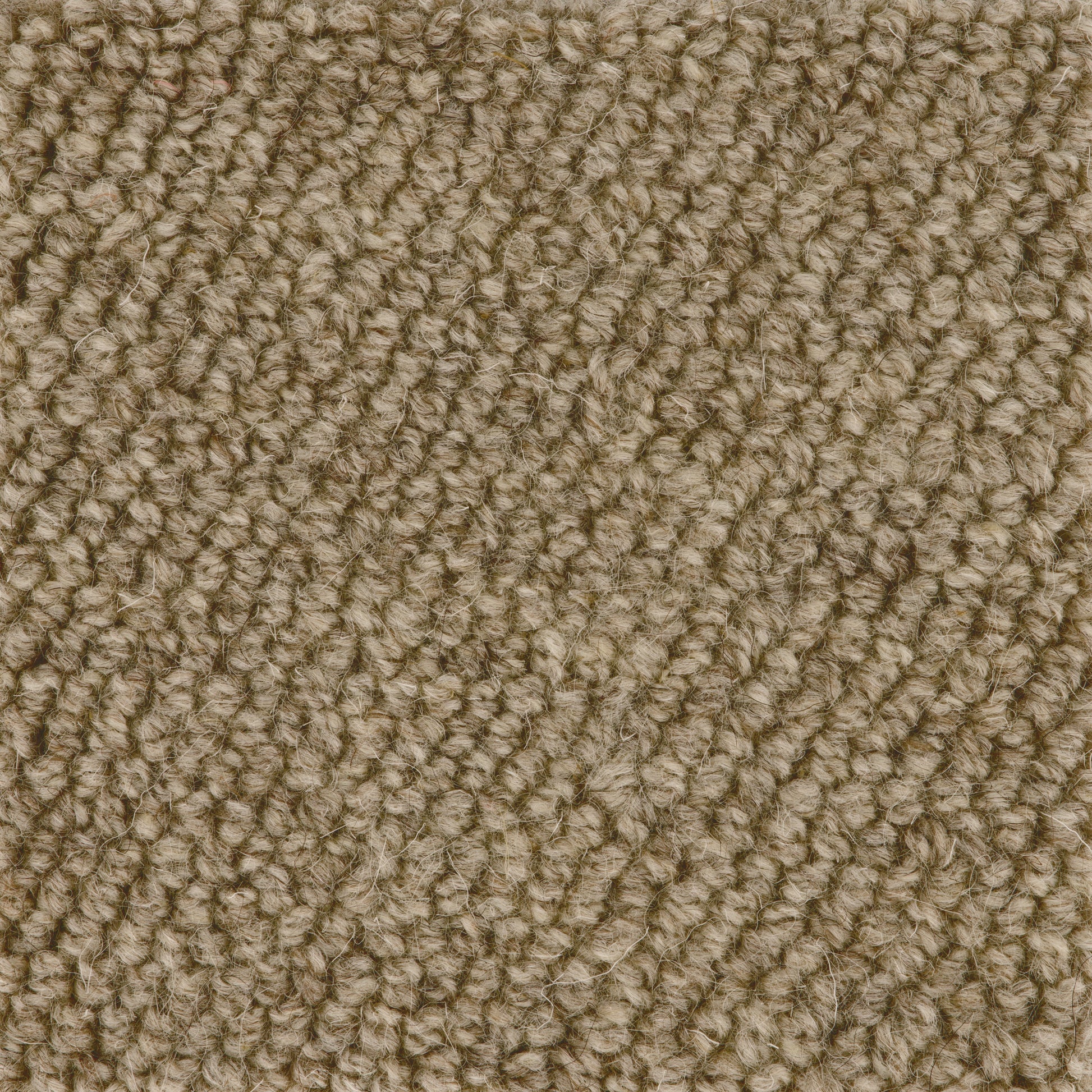 Boucle Loop Carpet Sample Biscuit