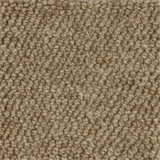 Boucle Loop Carpet Sample Biscuit