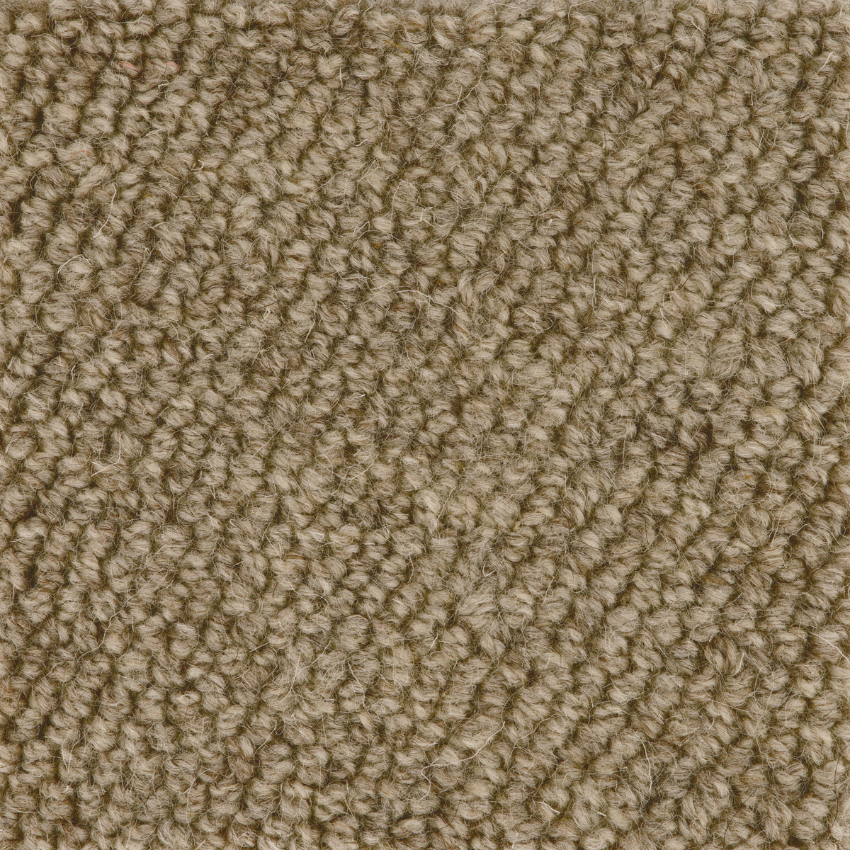 Boucle Loop Carpet Biscuit