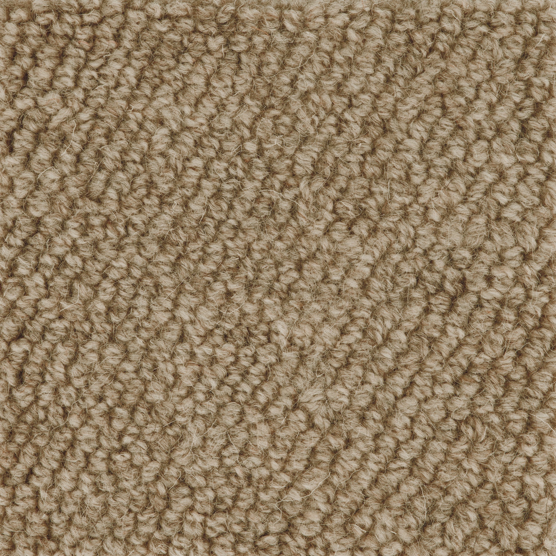 Boucle Loop Carpet Sample Linen