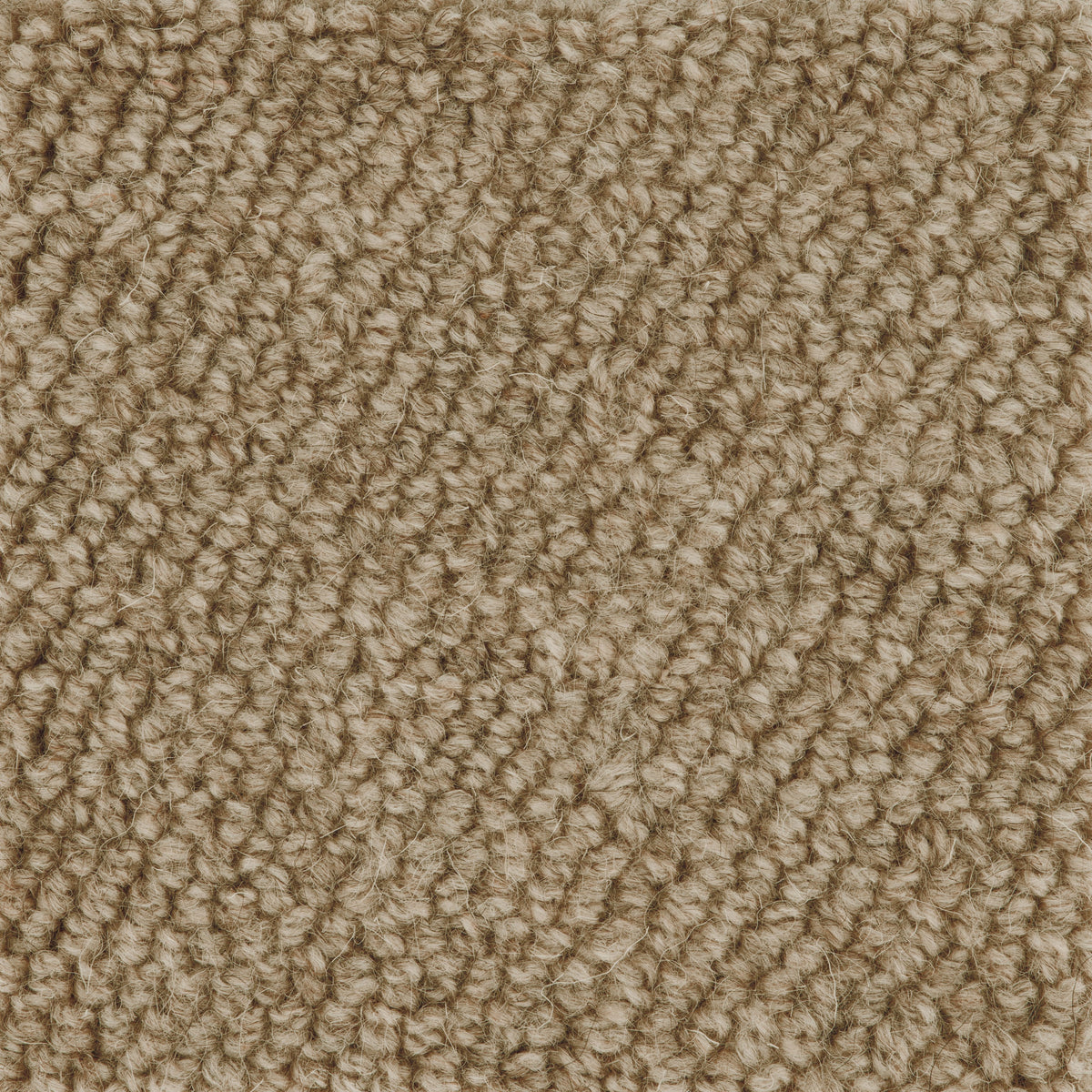 Boucle Loop Carpet Sample Linen