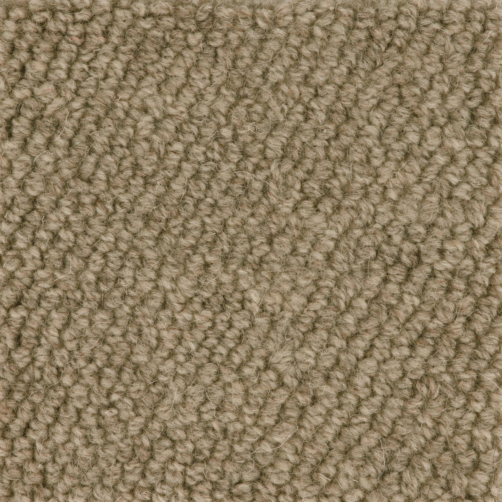 Boucle Loop Carpet Sample Mink