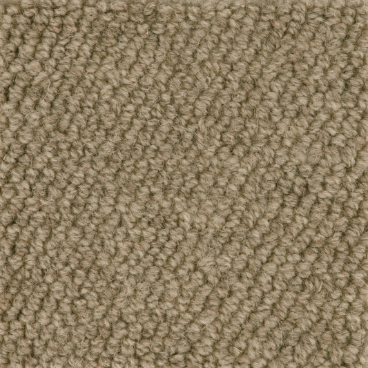 Boucle Loop Carpet Sample Mink