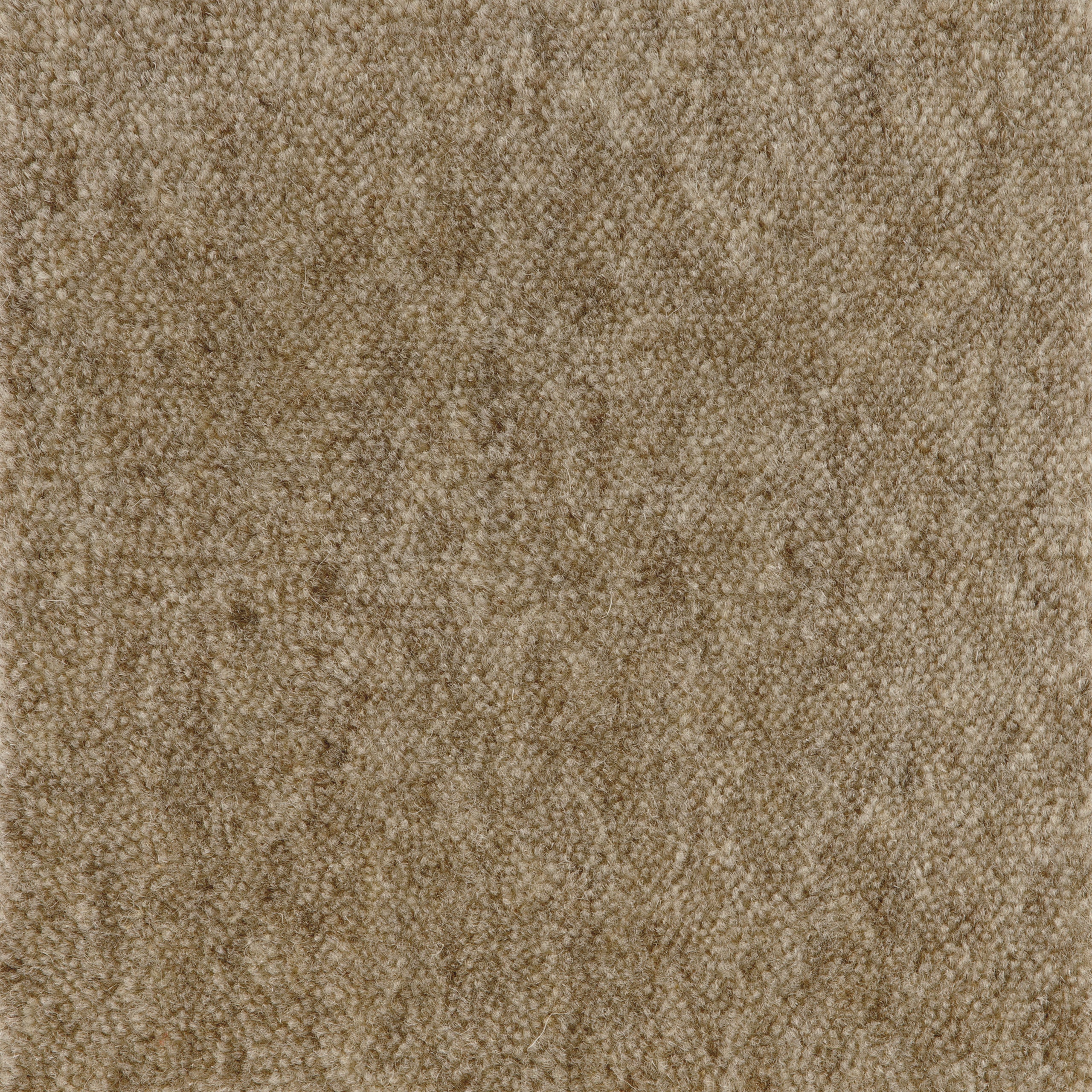 Cut Pile Wool Rug Sample Biscuit