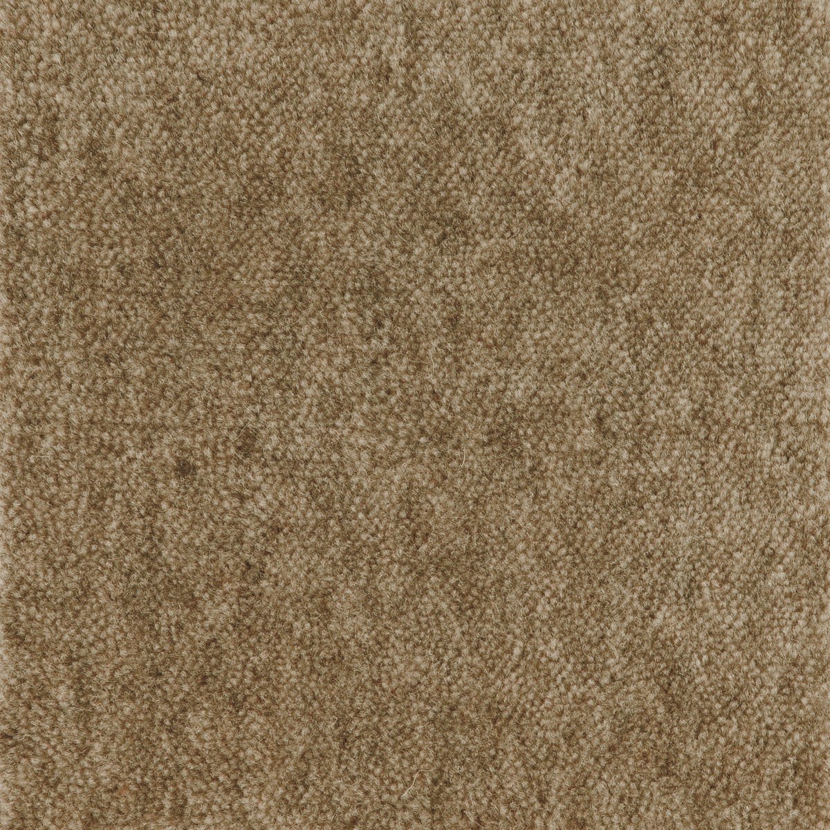 Cut Pile Wool Carpet Sample Linen