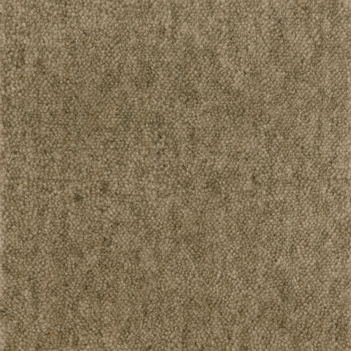 Cut Pile Wool Carpet Mink