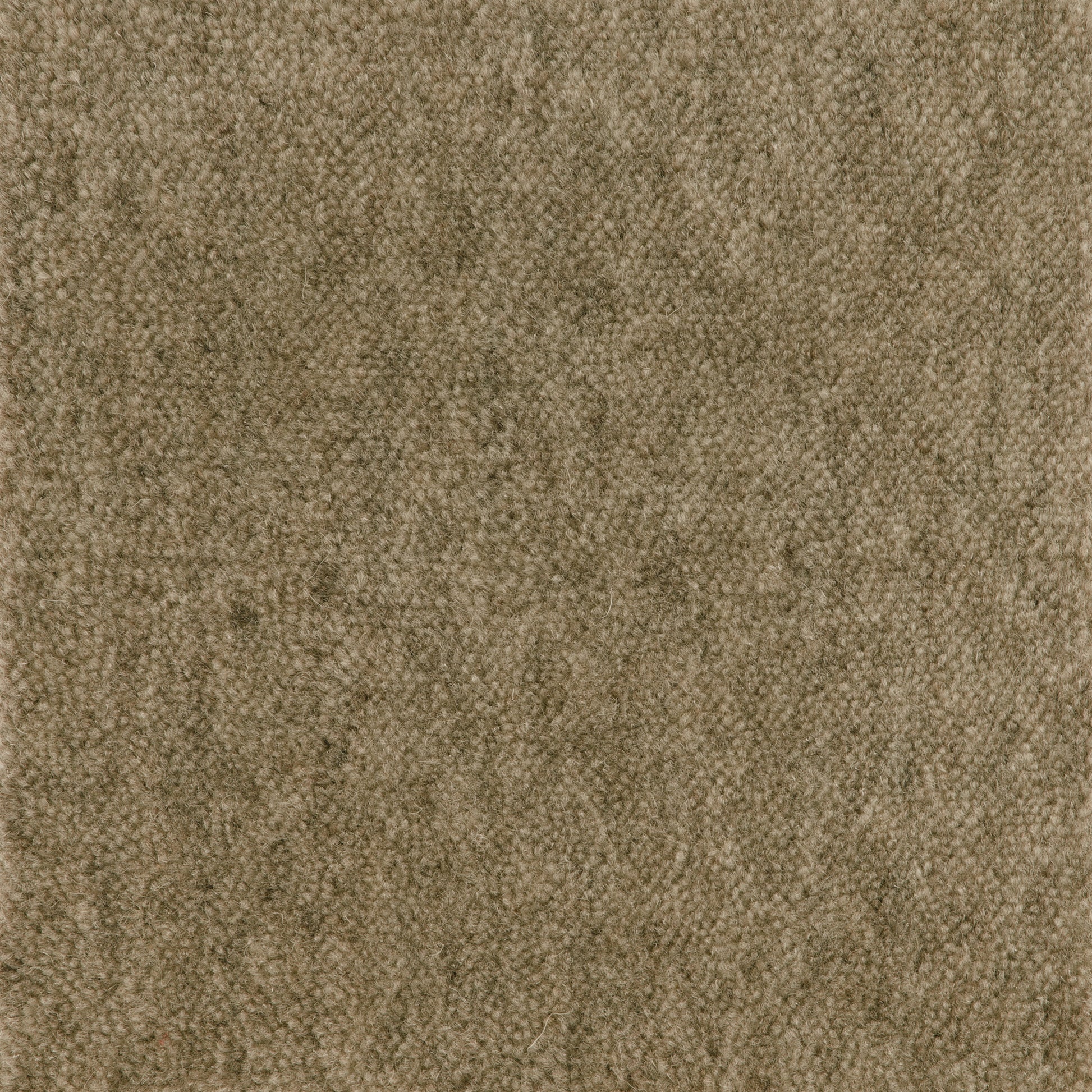 Cut Pile Wool Carpet Sample Mink