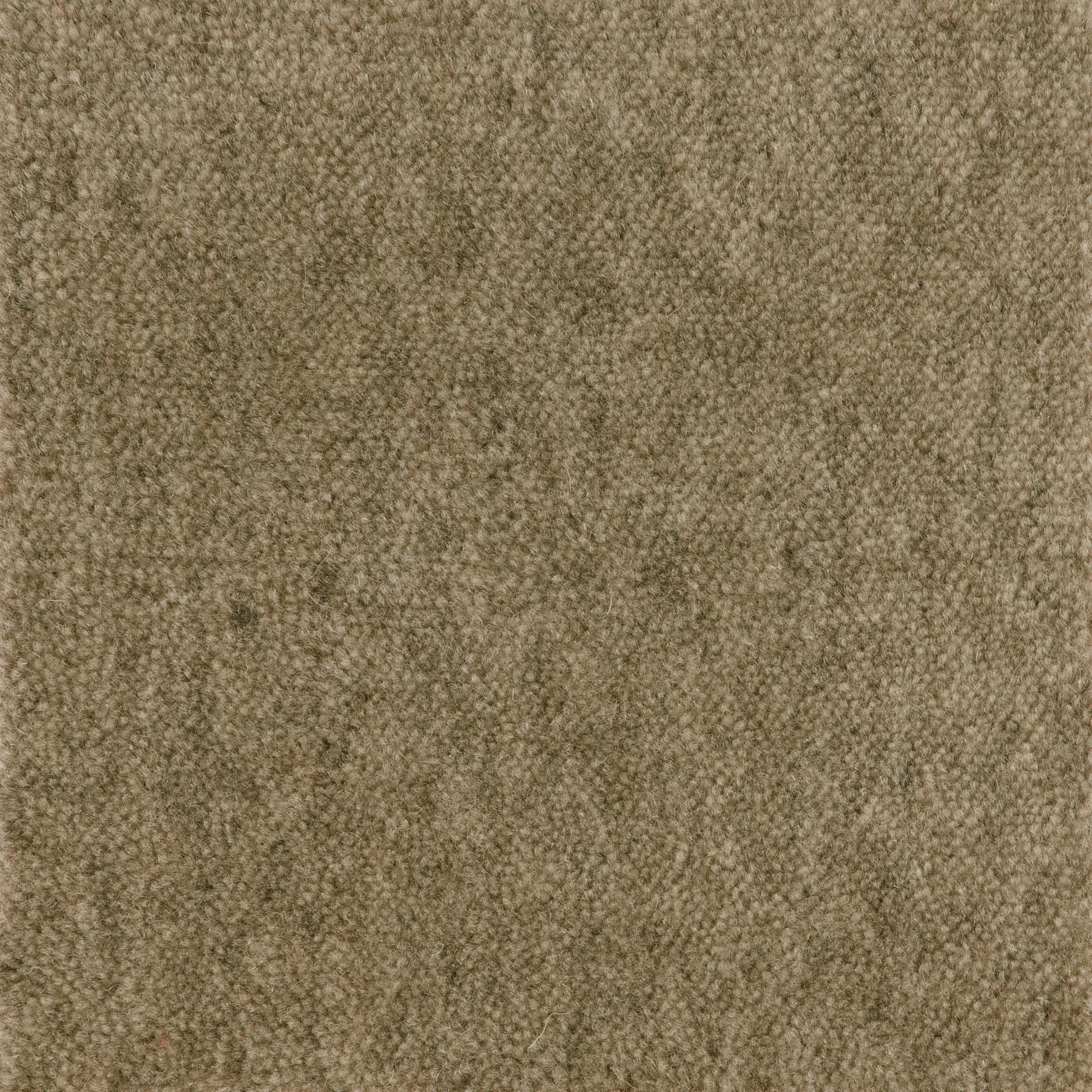 Cut Pile Wool Carpet Mink
