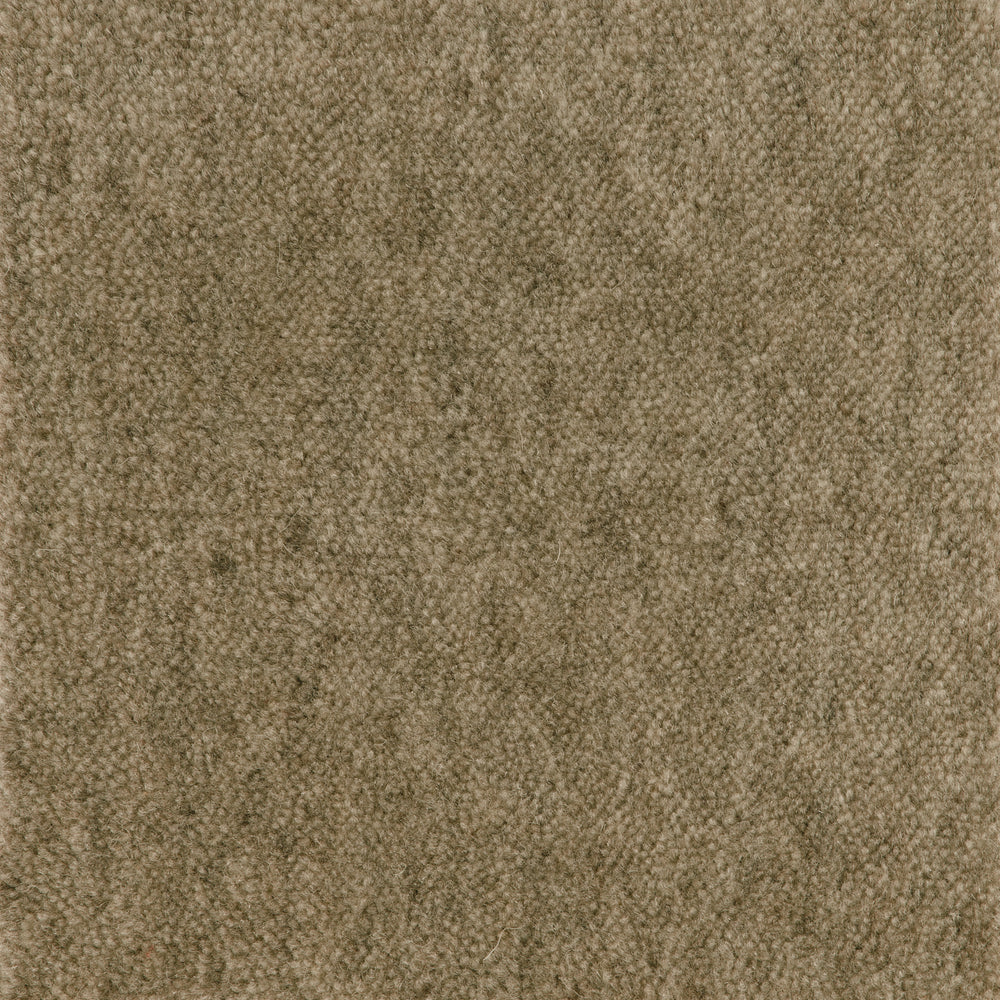 Cut Pile Wool Carpet Mink