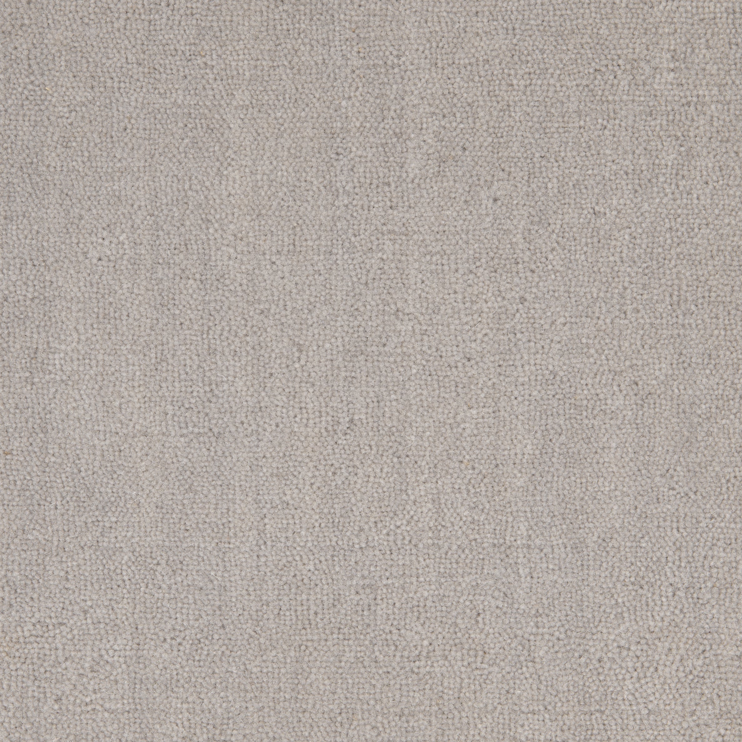 Cut Pile Wool Carpet Chalk