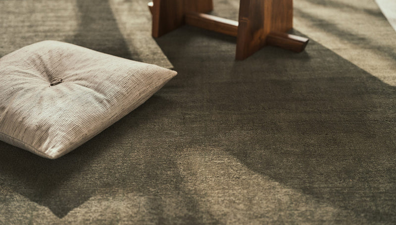 Explore Carpet